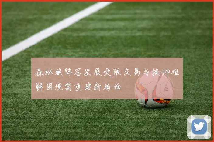 森林狼阵容发展受限交易与换帅难解困境需重建新局面