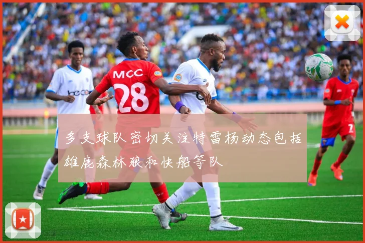 多支球队密切关注特雷杨动态包括雄鹿森林狼和快船等队