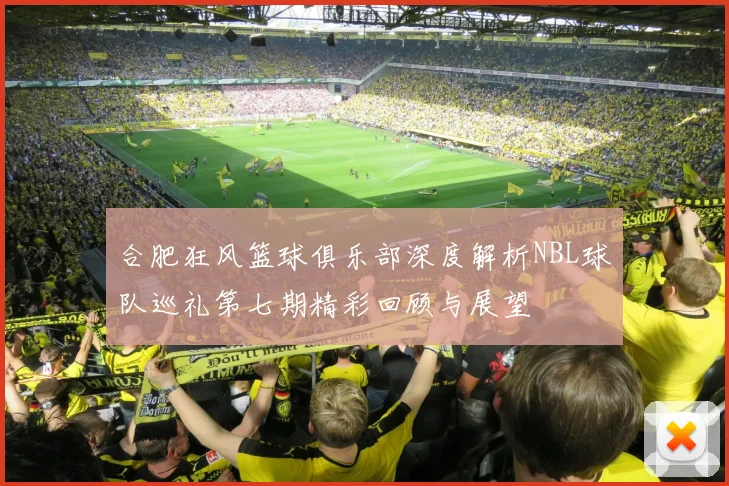 合肥狂风篮球俱乐部深度解析NBL球队巡礼第七期精彩回顾与展望