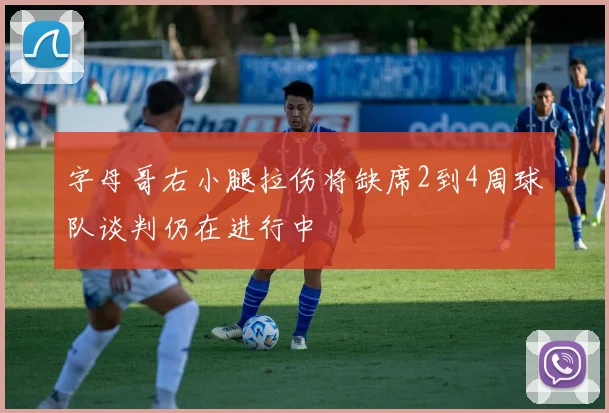 字母哥右小腿拉伤将缺席2到4周球队谈判仍在进行中